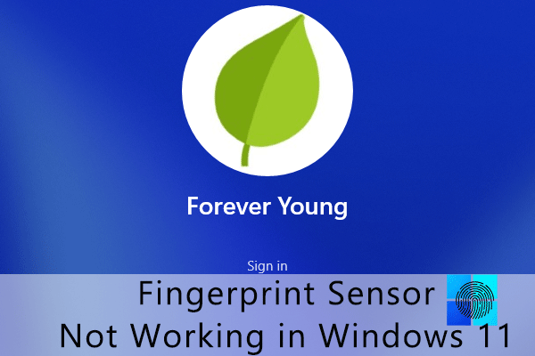 fingerprint sensor not working after Windows 11 update