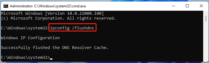 flush DNS cache Windows 11 using CMD