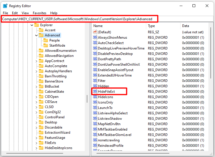 Show File Extensions Windows 11 via Various Sources MiniTool