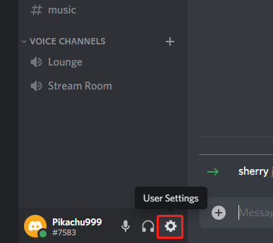 Discord Developer Mode Settings - DapDap - Medium