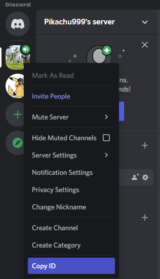 Discord Developer Mode in a Nutshell 