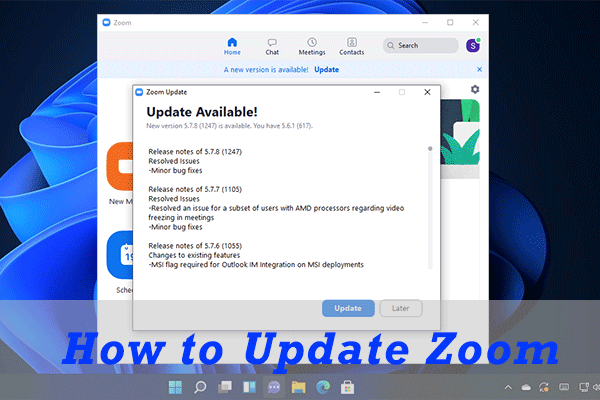 how to update zoom thumbnail