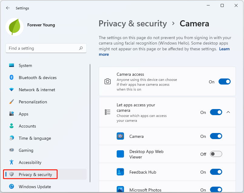 Why Does cam Not Work in Windows 11? How to Fix the Issue?