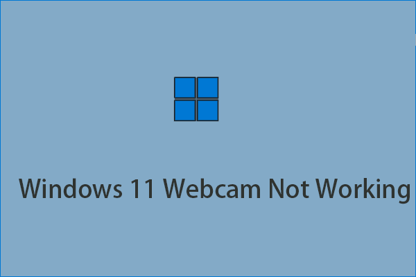Windows 11 webcam not working
