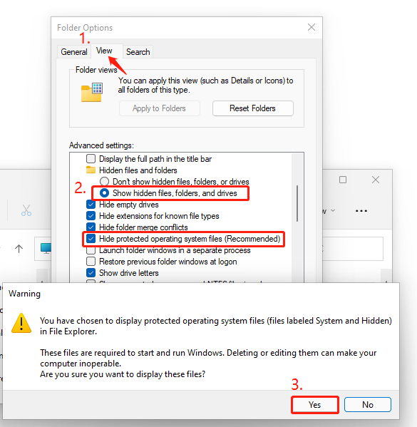 Show hidden files folders and drives Windows 11