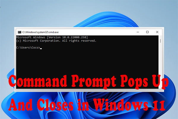 cmd randomly pops up and closes reddit