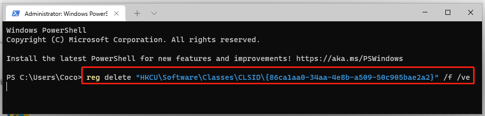 delete the registry key via Windows Terminal