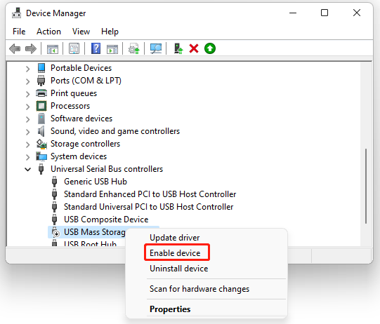 enable USB Mass Storage Device