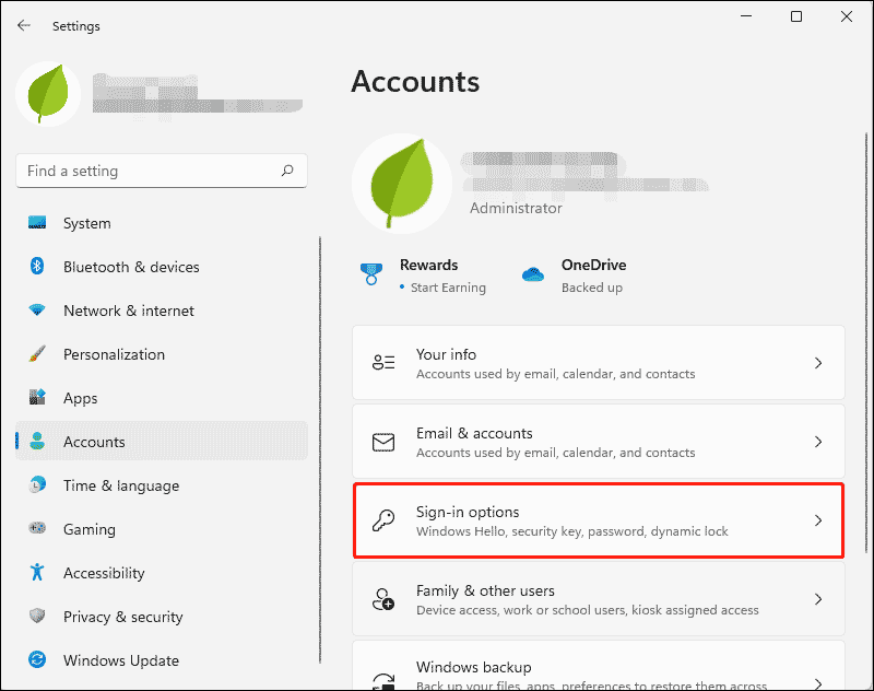 click Sign-in options