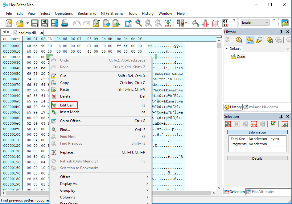 Edit a DLL file