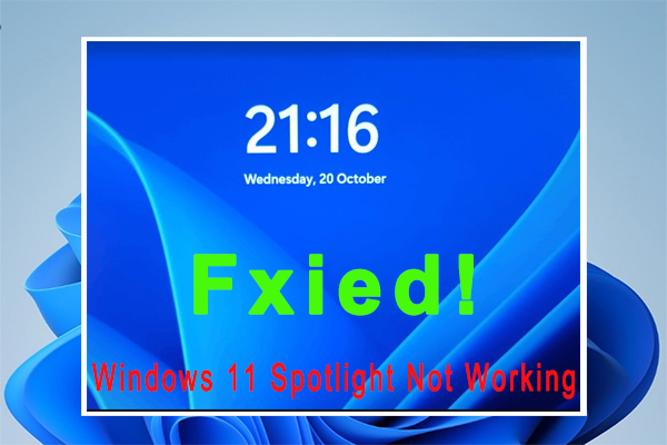 Spotlight not working in Windows 11