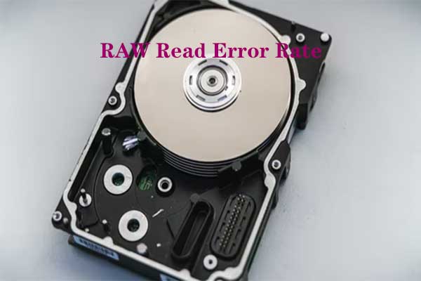 RAW Read Error Rate
