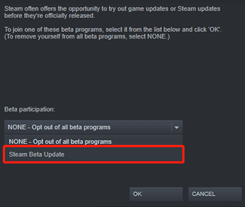 choose the Steam Beta Update option