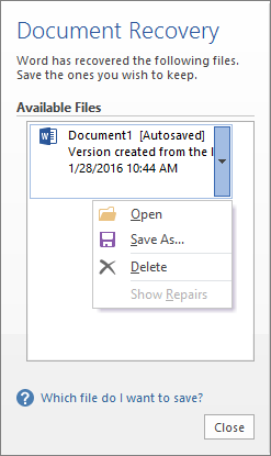 Word Document Recovery