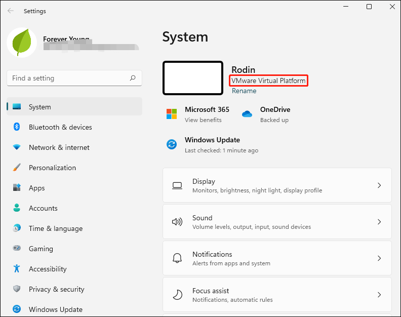 Windows 11 system product name