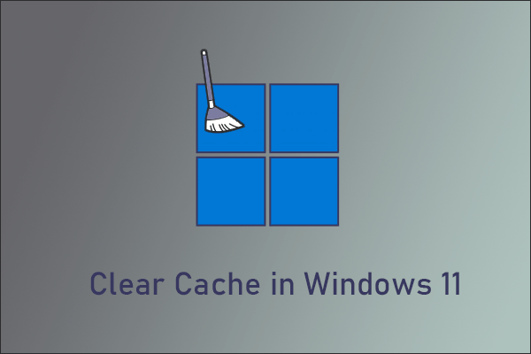 clear cache in Windows 11