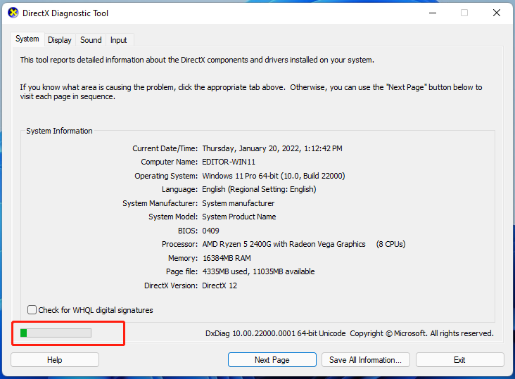 using DirectX Diagnostic Tool