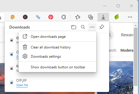 Edge downloads history