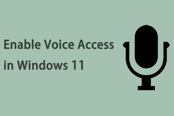 how to enable Voice access in Windows 11