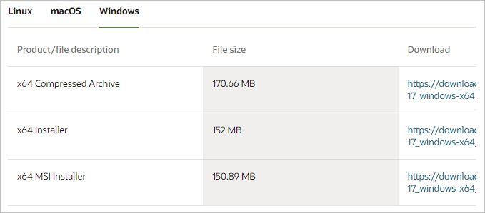 open java console windows 11