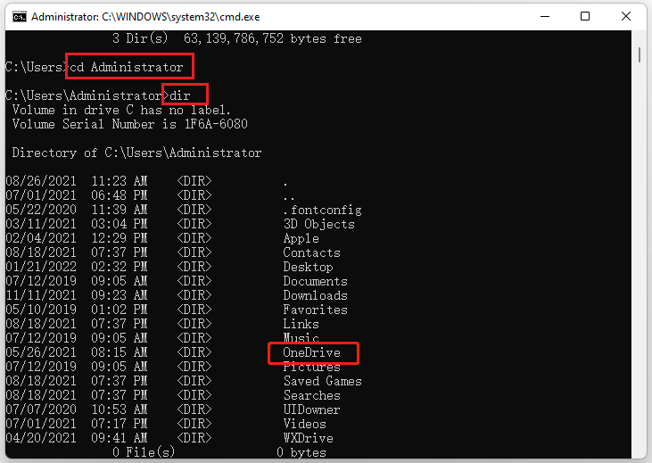 OneDrive path