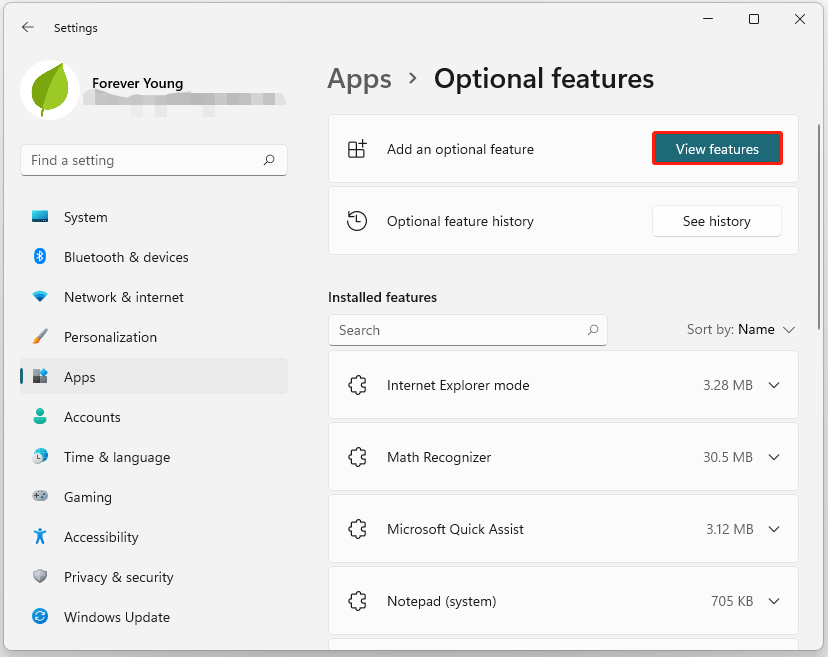 click the Optional features button
