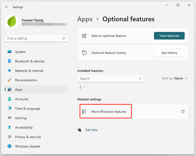 click More Windows features