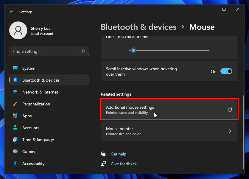additional mouse settings