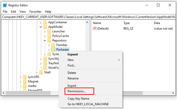 open the permissions of Packages folder