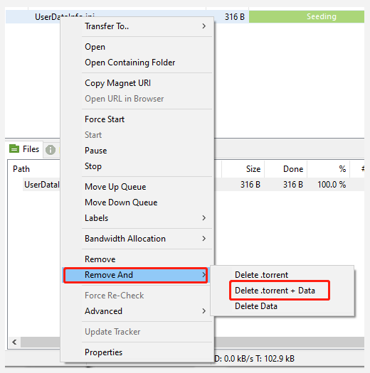 delete torrent file