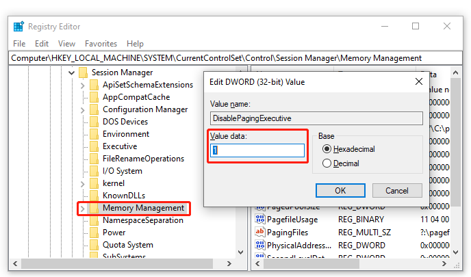 disable Paging Executive in Registry Editor