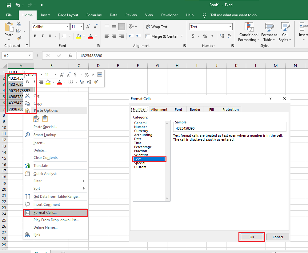 click Format Cells and click Text