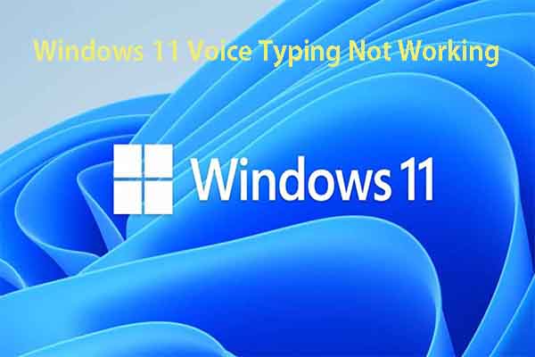 Windows 11 voice typing not working