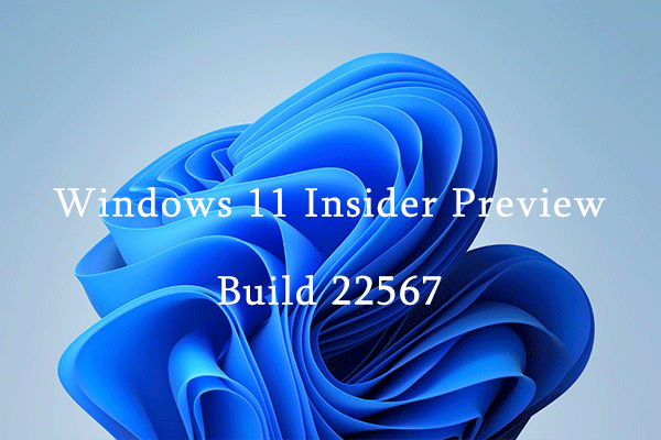 Windows 11 Insider Preview Build 22567