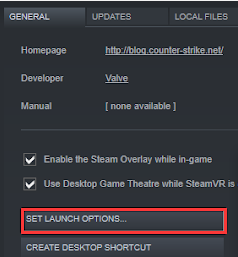 click Set Launch Option