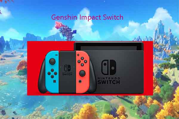 Genshin Impact Switch