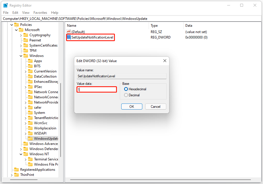 newly create the Value name as SetUpdateNotificationLevel