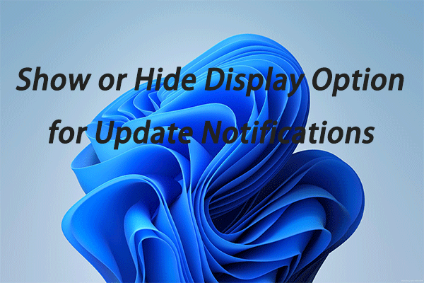 show or hide display options for update notifications in Windows 11
