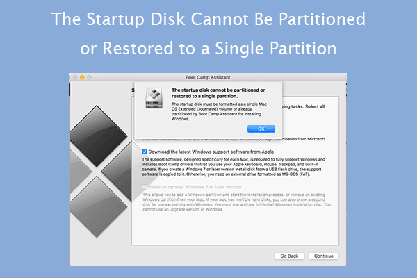the startup disk cannot be partitioned or restored to a single partition