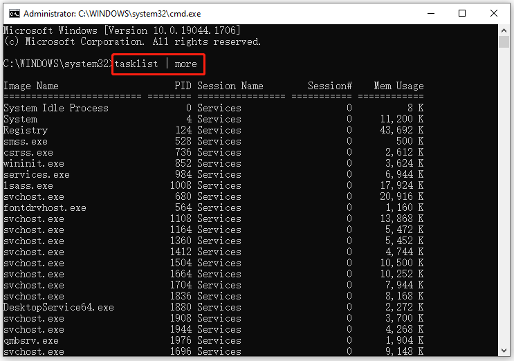 run tasklist command in the elevated Command Prompt window