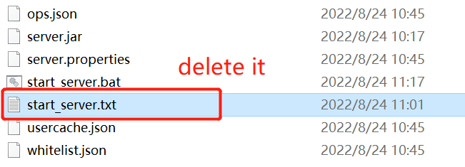 delete the start server file