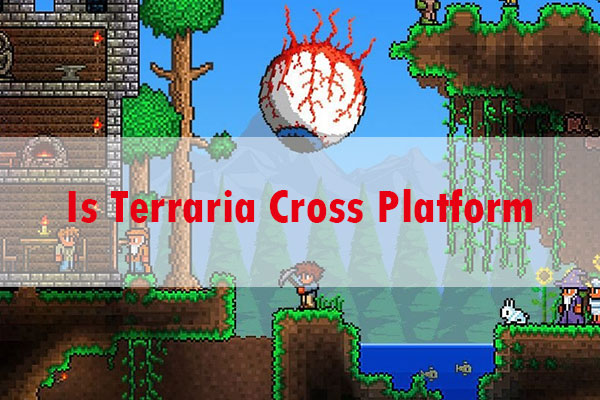 Besmettelijke ziekte procedure bestellen Is Terraria Cross Platform [PC, Xbox, PS, and Mobile]