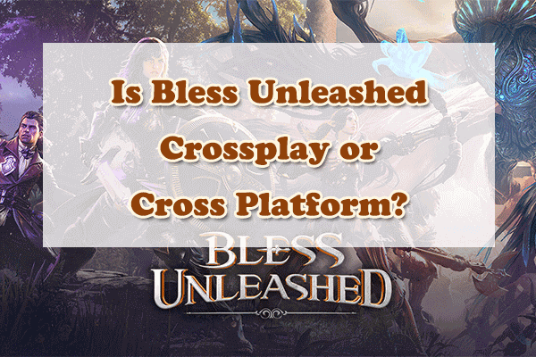 Is Bless Unleashed Crossplay / Cross Platform?