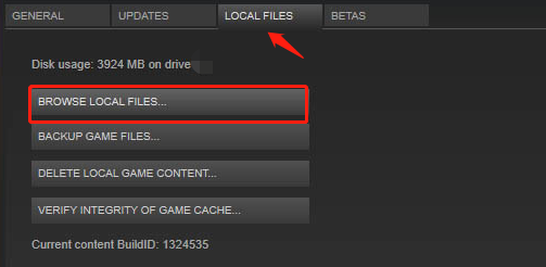 click browse local files steam