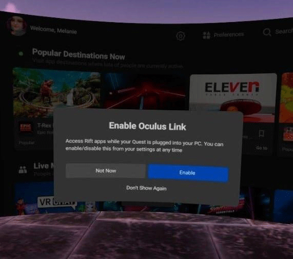 enable Oculus Link