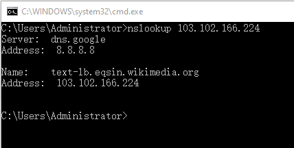 reverse DNS lookup command