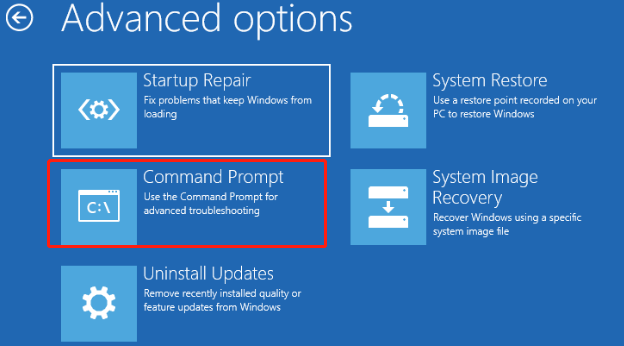 select Command Prompt in Advanced Options