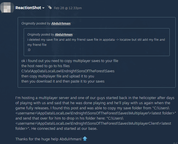 a user report from the Steam community